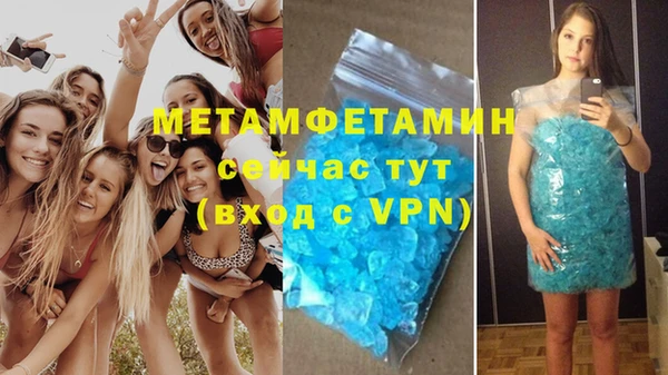 сатива Балахна
