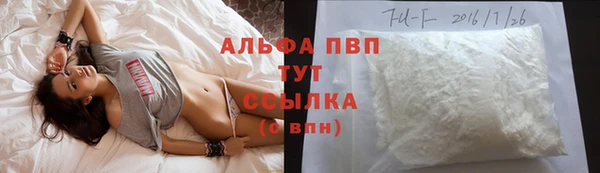 сатива Балахна