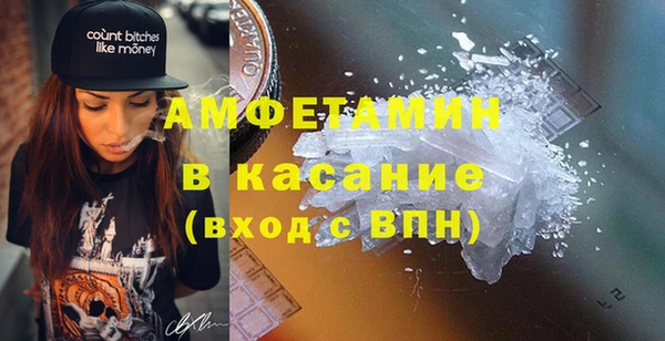 сатива Балахна
