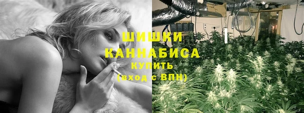 сатива Балахна